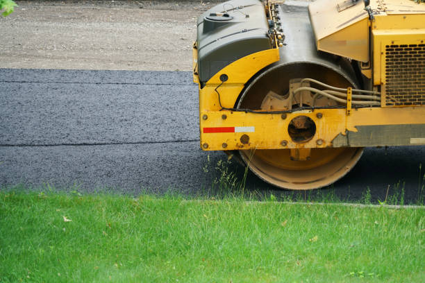 Best Local Driveway Pavers  in Waynesville, MO